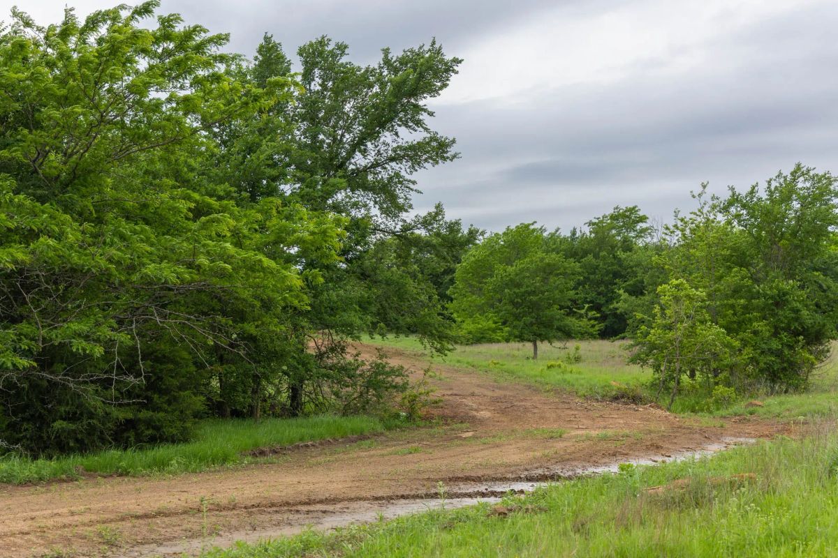 Decorative background for Harmony Hills Tract 11 image 7