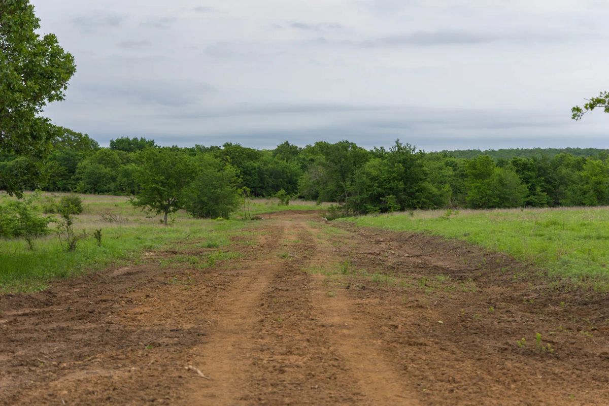 Decorative background for Harmony Hills Tract 11 image 11