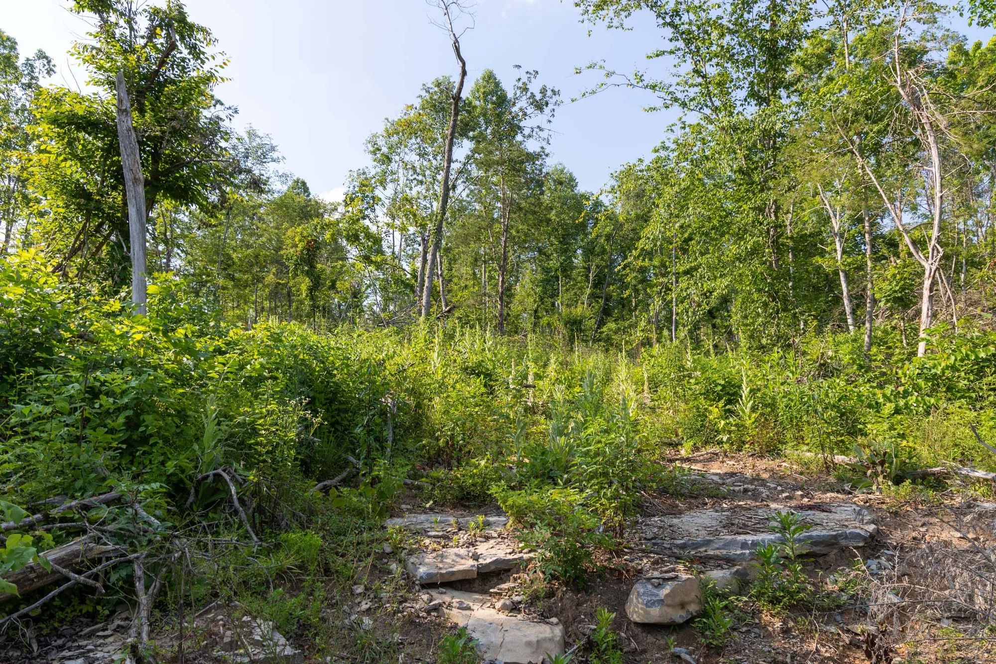 Creek Hollow Phase II Tract 83 in Rockcastle County, KY