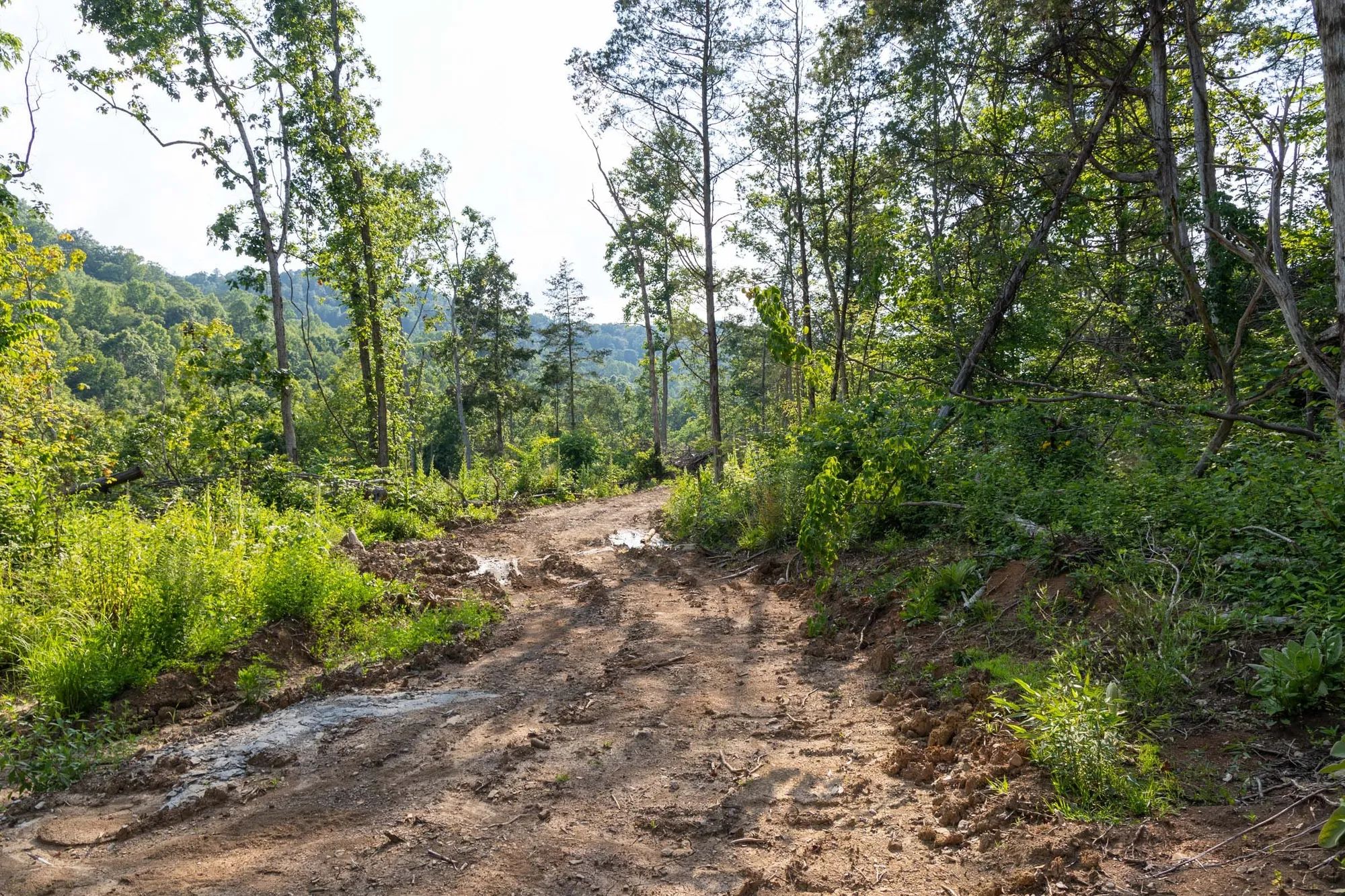 Creek Hollow Phase II Tract 83 in Rockcastle County, KY