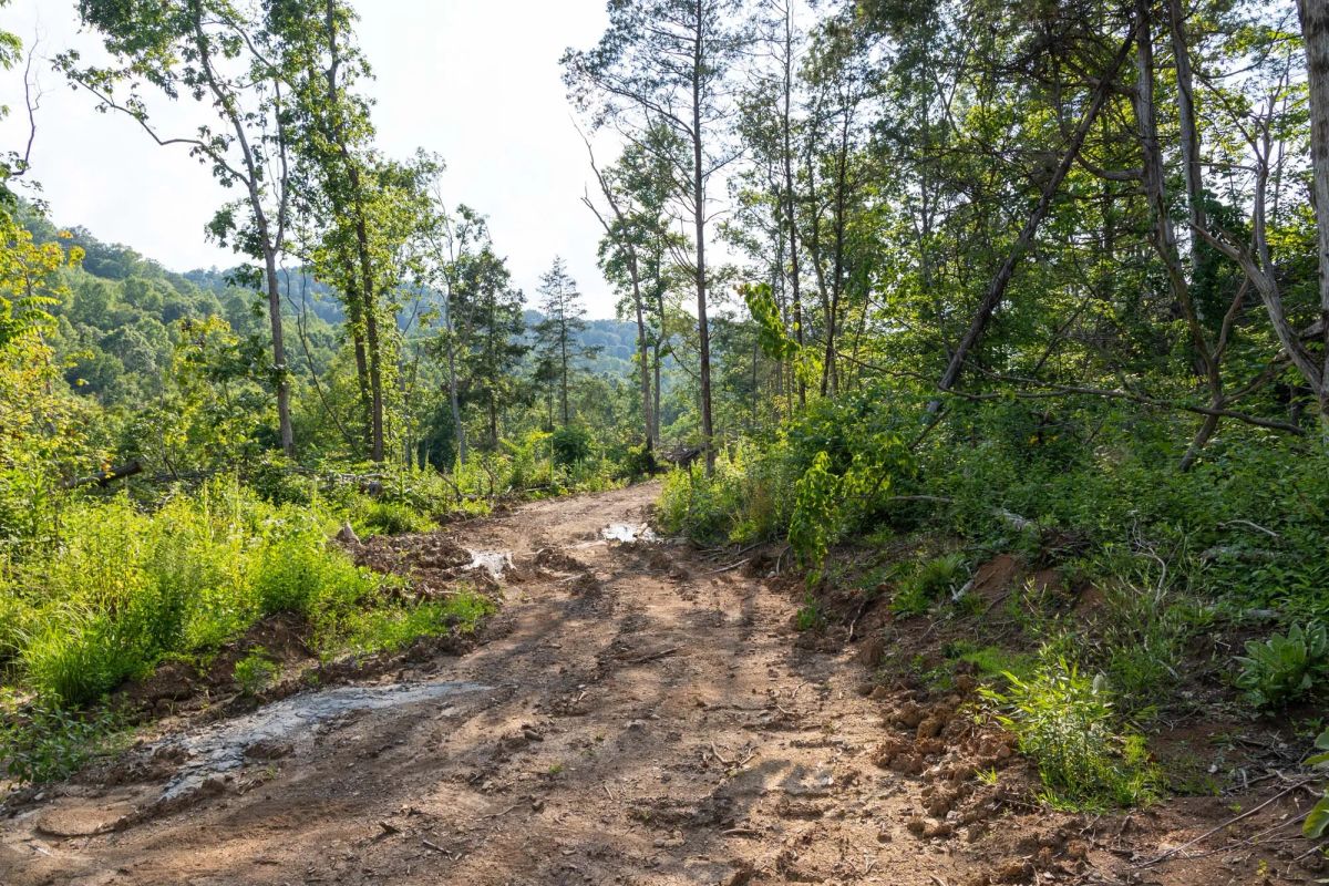 Creek Hollow Phase II Tract 83 - Image 2
