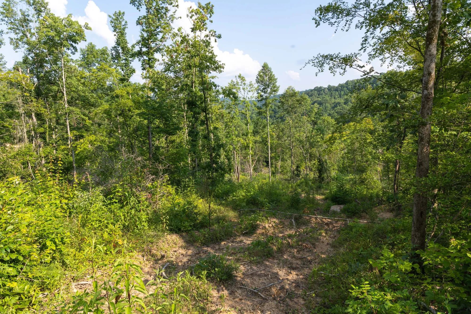 Creek Hollow Phase II Tract 83 in Rockcastle County, KY