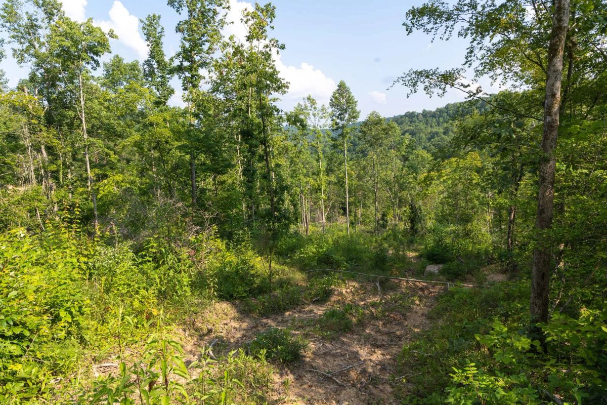 Creek Hollow Phase II Tract 83 - Image 3