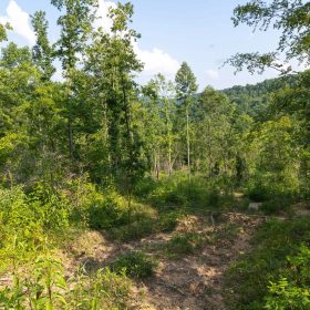 Creek Hollow Phase II Tract 83 in Rockcastle County, KY
