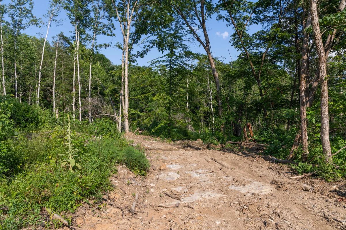 Creek Hollow Phase II Tract 83 - Image 4