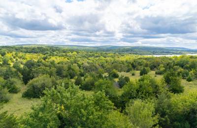 Reserves At Cattail Cove Phase II Tract 58