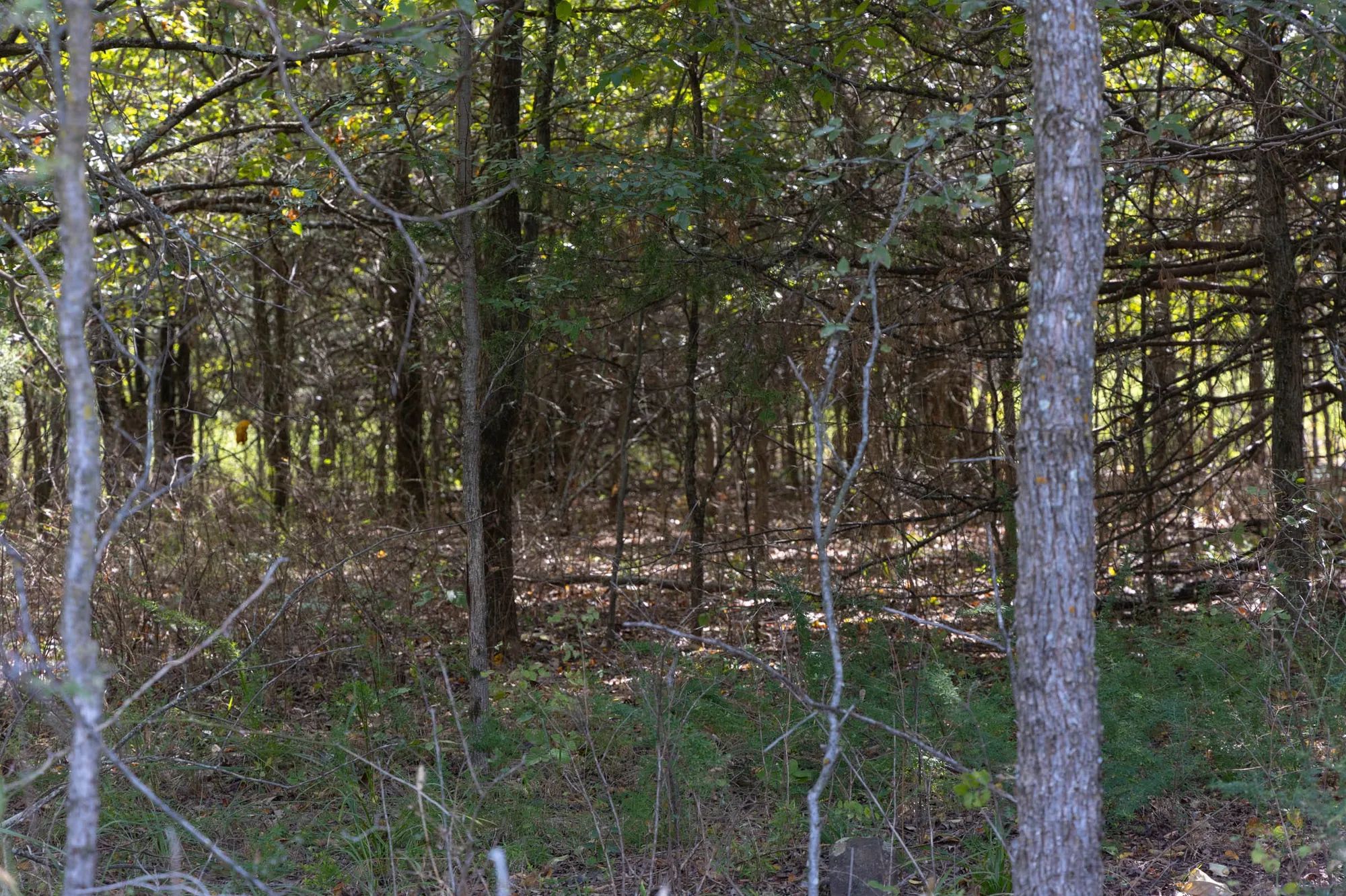 Reserves At Cattail Cove Phase II Tract 58 in Pittsburg County, OK