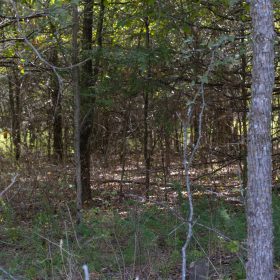 Reserves At Cattail Cove Phase II Tract 58 in Pittsburg County, OK