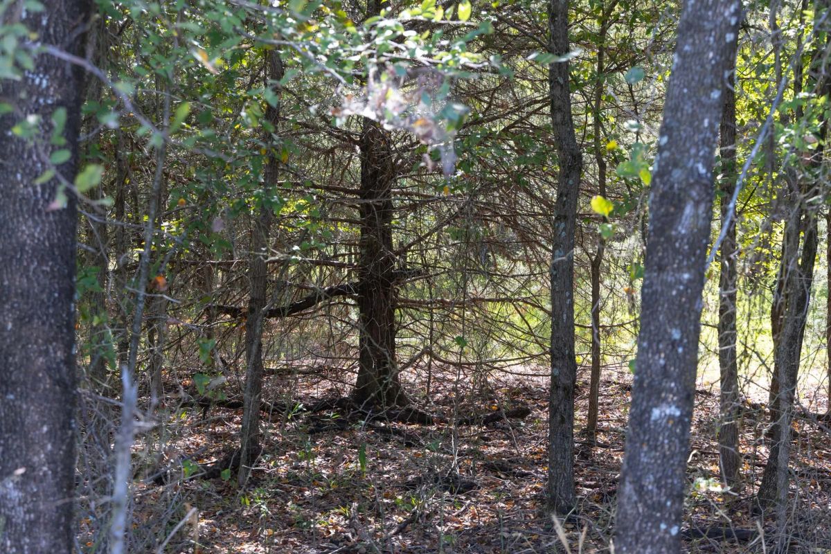 Reserves At Cattail Cove Phase II Tract 58 - Image 4