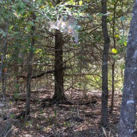 Reserves At Cattail Cove Phase II Tract 58 in Pittsburg County, OK