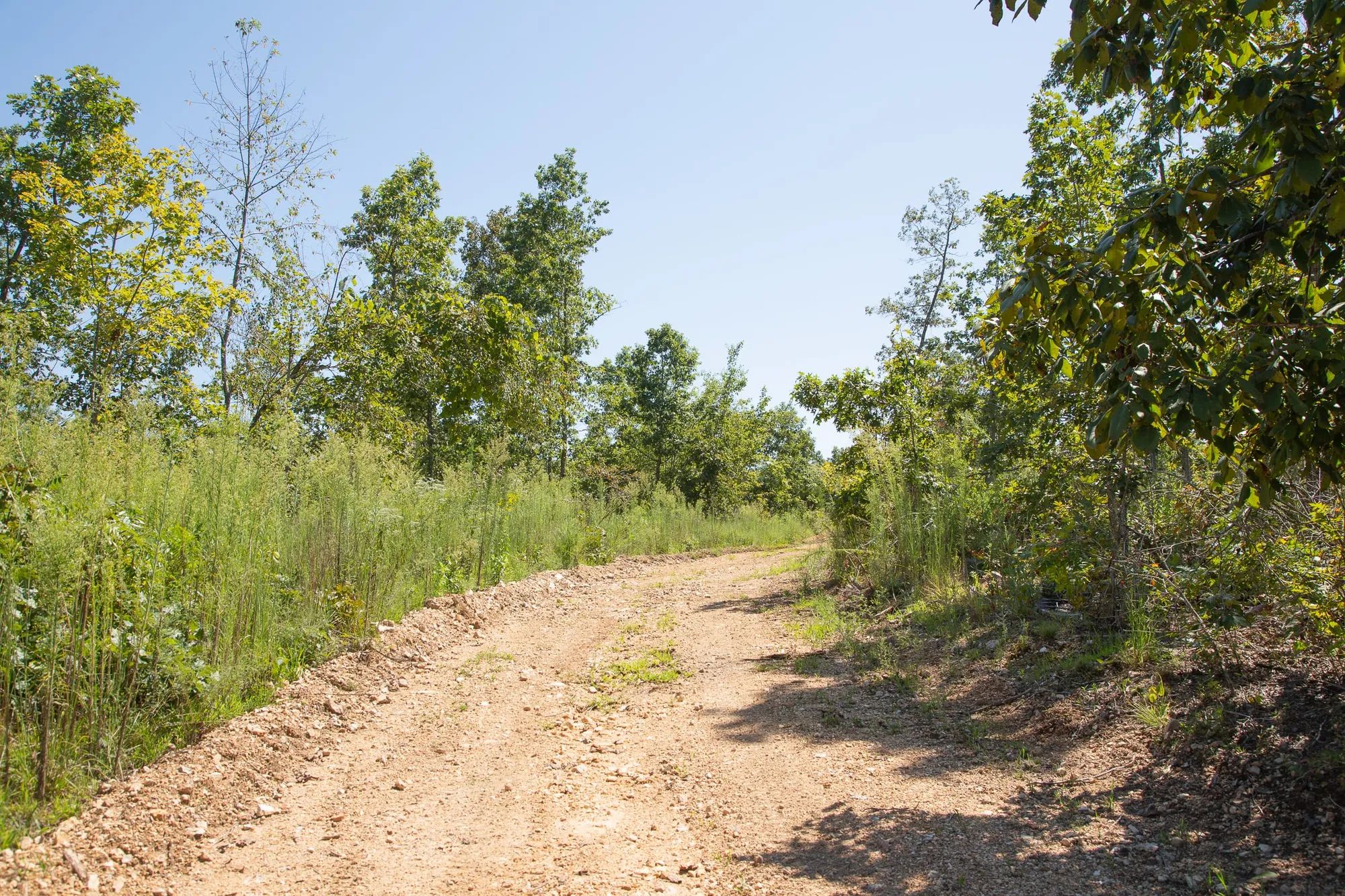 Borgmann’s Hollow Phase III Tract 78 in Shannon County, MO