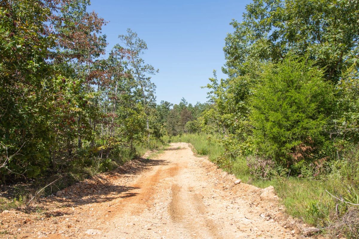Decorative background for Borgmann’s Hollow Phase III Tract 78 image 10