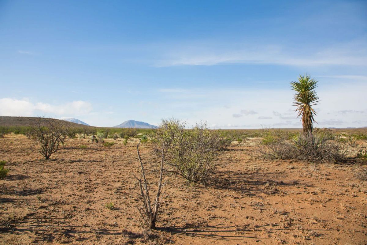 Decorative background for Sunset Ranches Tract 2 image 5