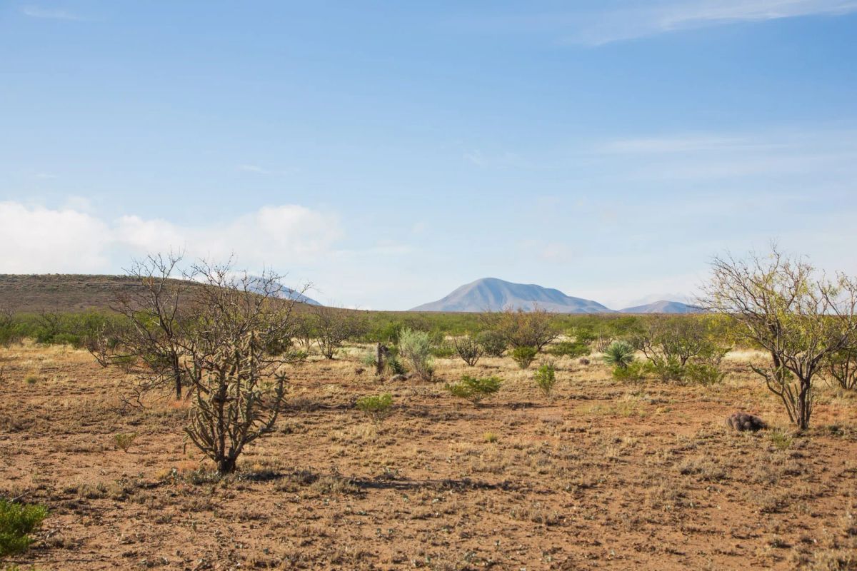 Decorative background for Sunset Ranches Tract 2 image 7