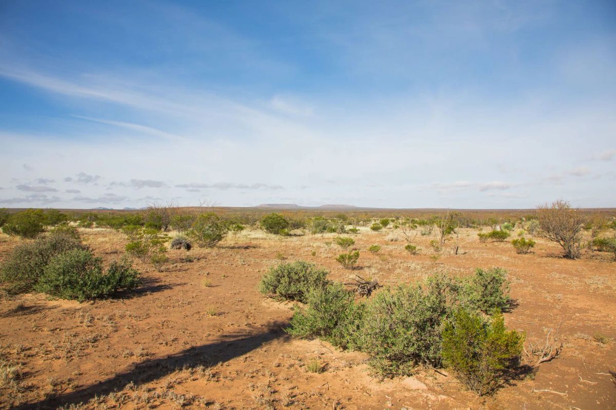 Decorative background for Sunset Ranches Tract 2 image 8