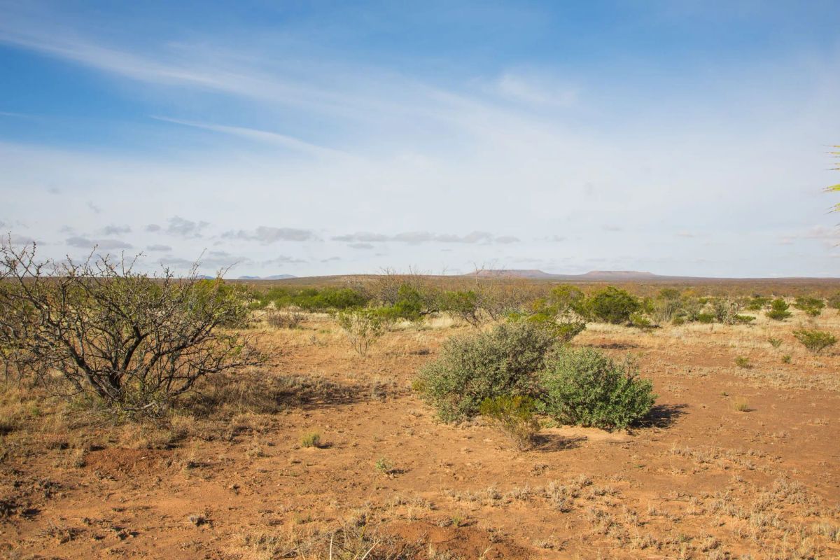 Decorative background for Sunset Ranches Tract 2 image 10