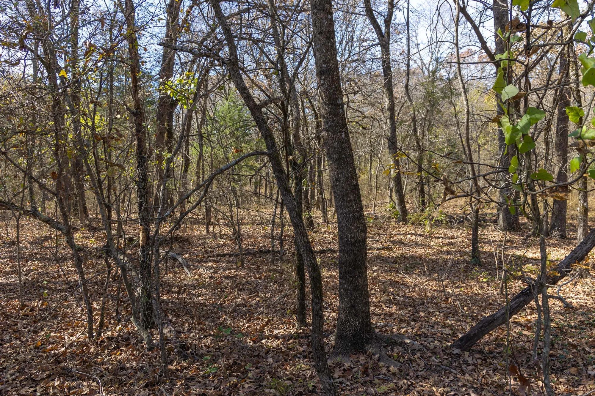 Harmony Hills Tract 41 in Pittsburg County, OK