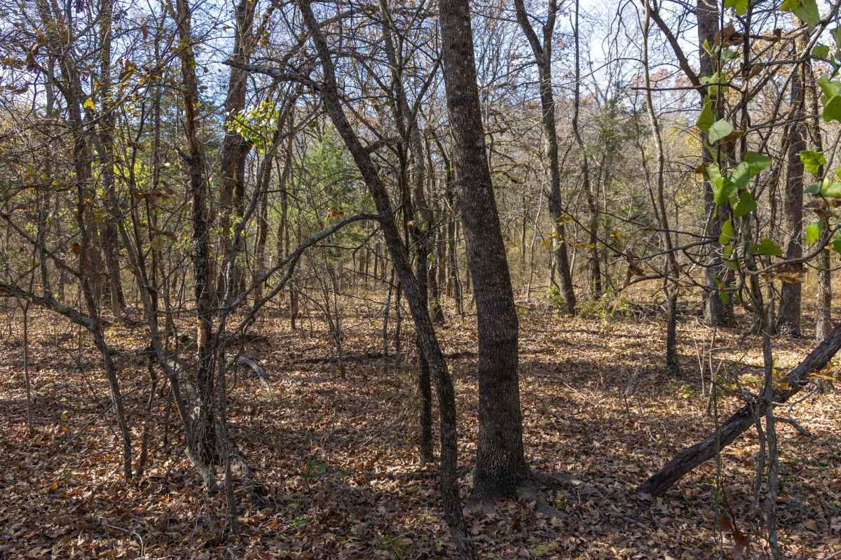 Harmony Hills Tract 41 - Image 2