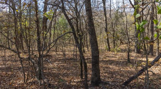 Harmony Hills Tract 41 in Pittsburg County, OK