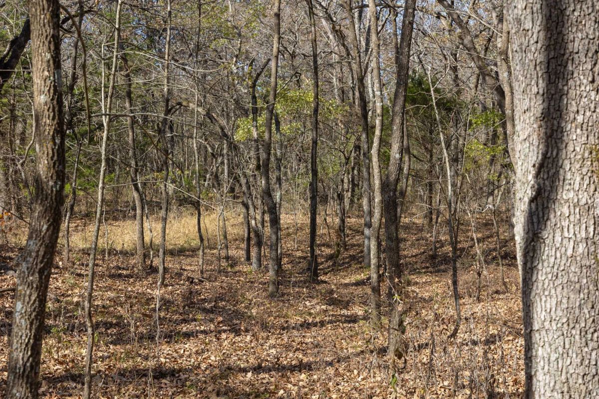 Decorative background for Harmony Hills Tract 41 image 6