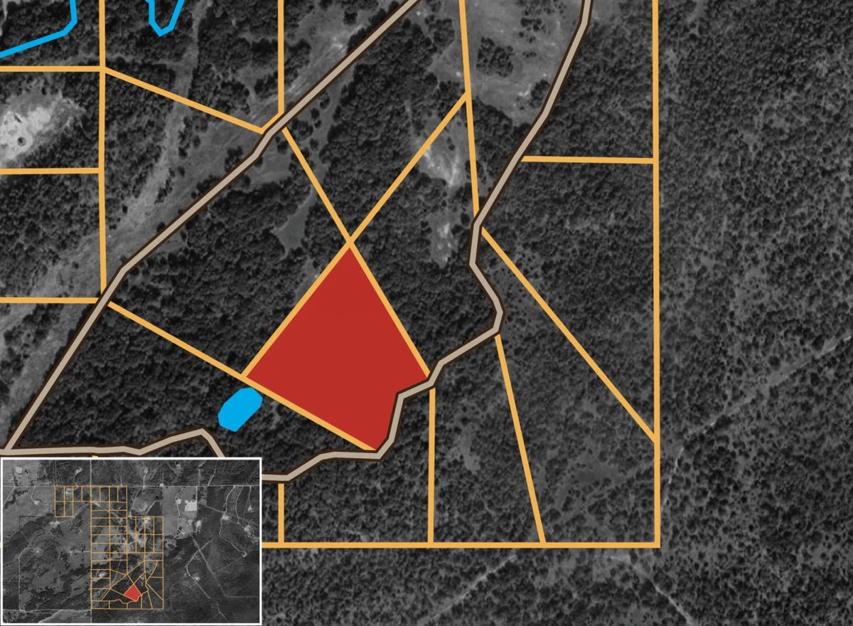 Decorative background for Harmony Hills Tract 41 image 10