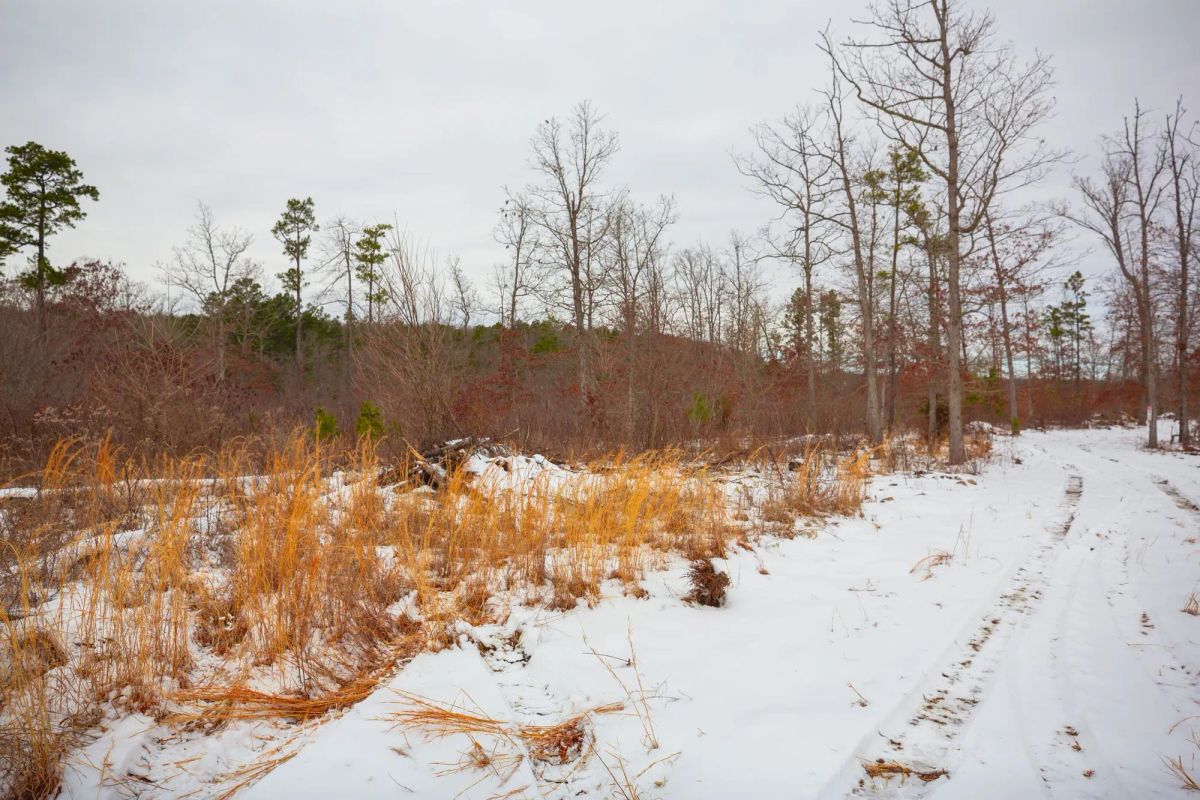 Sleepy Hollow Phase I Tract 16 - Main image