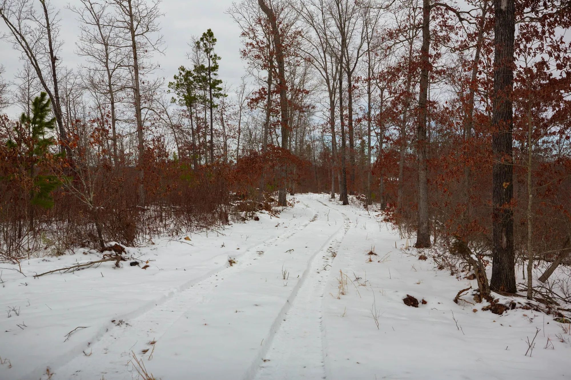 Sleepy Hollow Phase I Tract 16 in Texas County, MO
