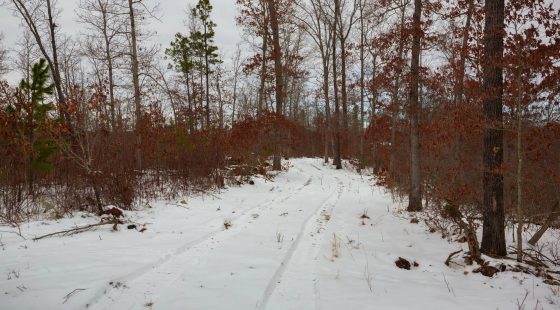 Sleepy Hollow Phase I Tract 16 in Texas County, MO