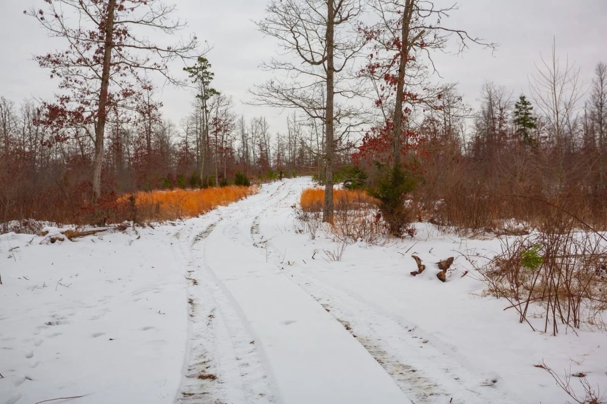 Sleepy Hollow Phase I Tract 16 - Image 4