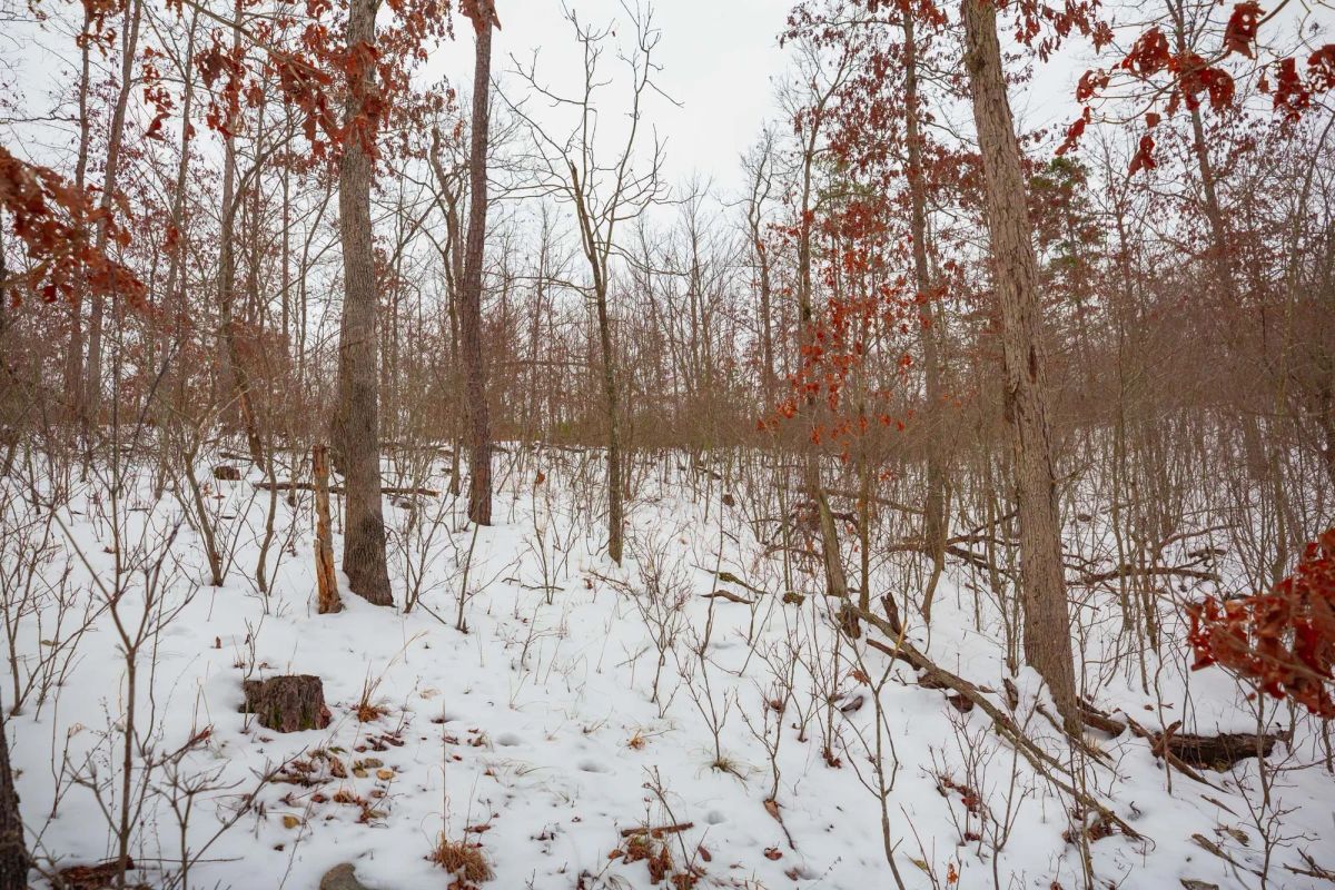 Decorative background for Sleepy Hollow Phase I Tract 16 image 5