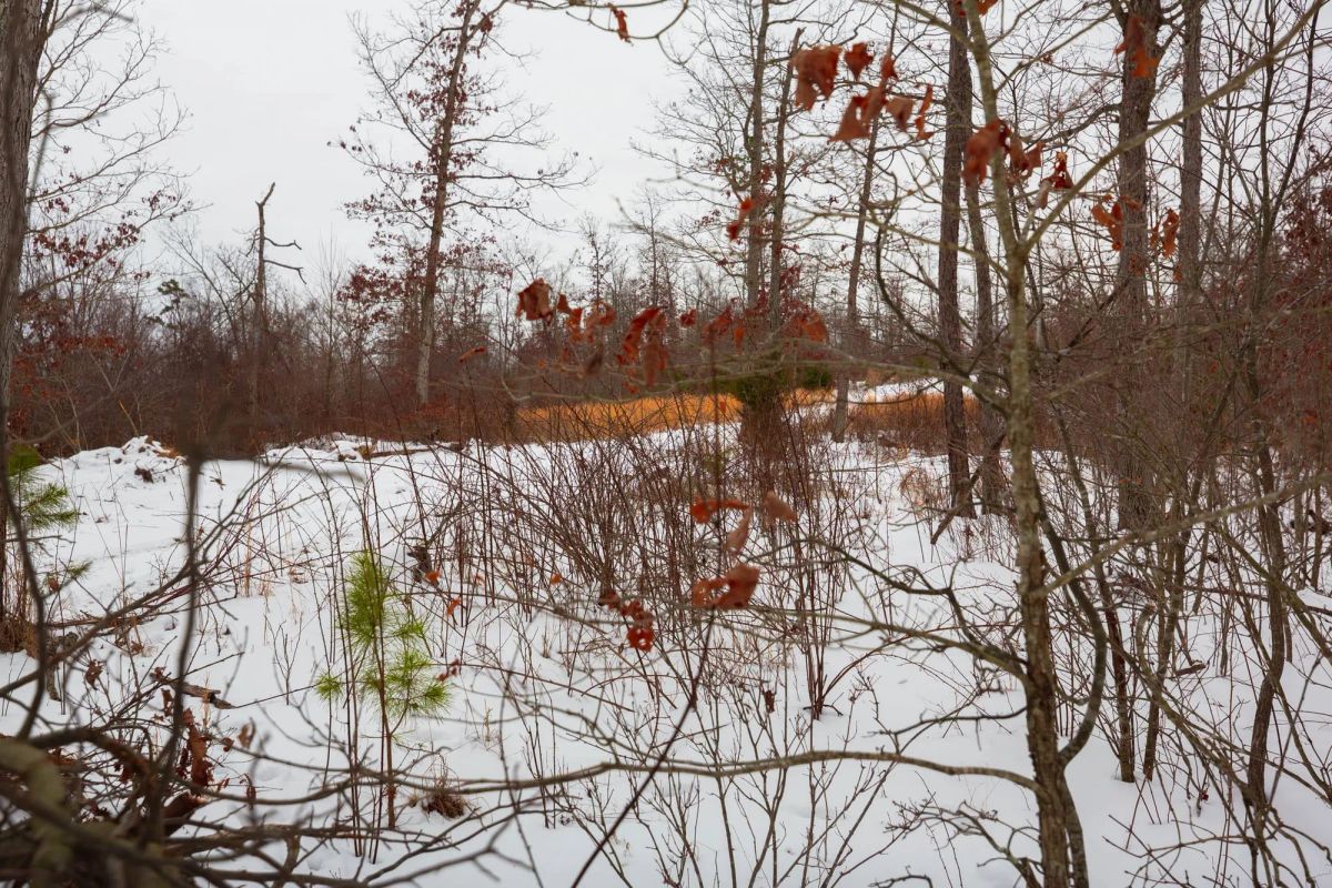Decorative background for Sleepy Hollow Phase I Tract 16 image 9