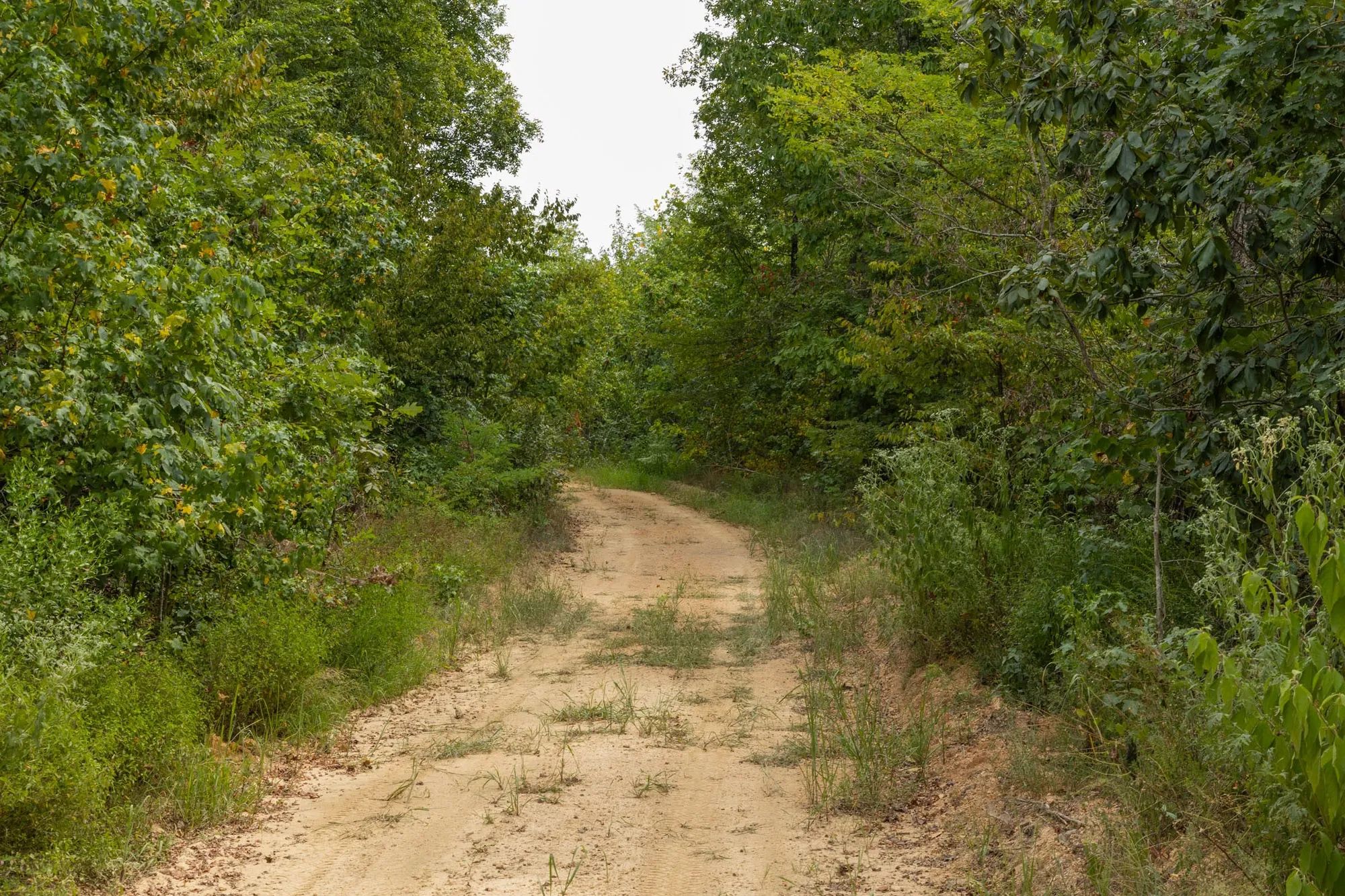 Big White Oak Tract 65 in Perry County, TN