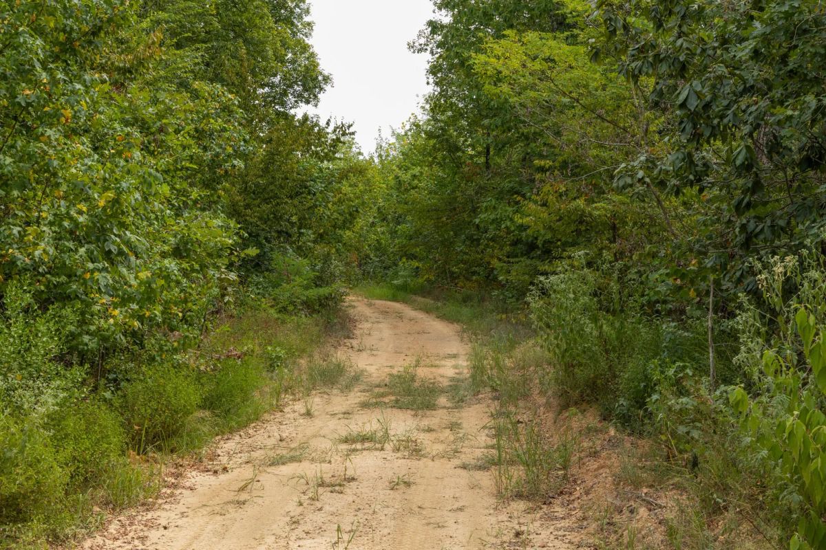 Big White Oak Tract 65 - Main image