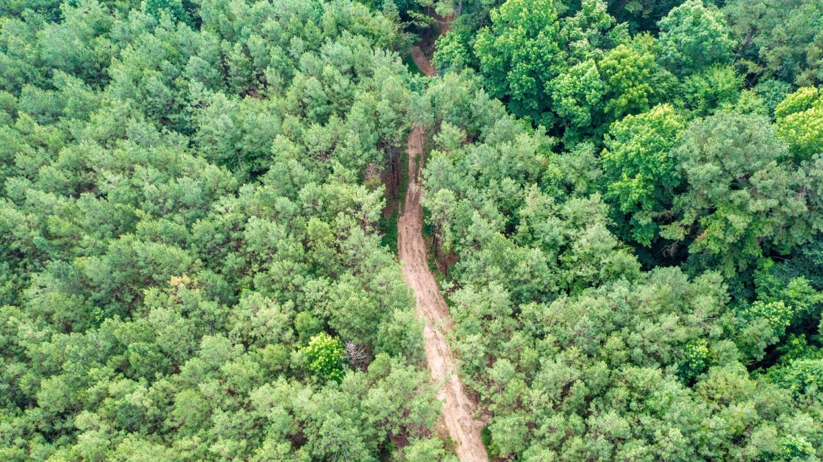 Whiskey Ridge Tract 63 - Main image