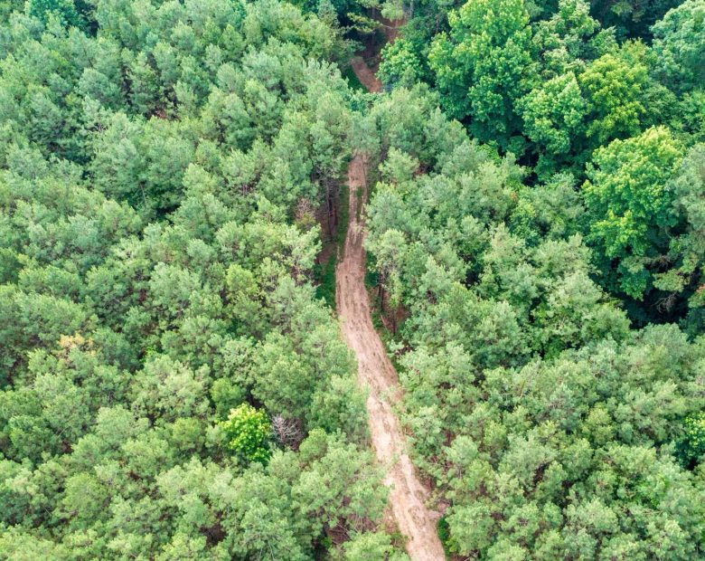 Whiskey Ridge Tract 63 in Henderson County, TN