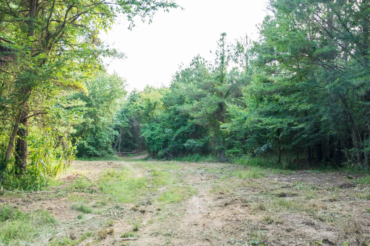 Decorative background for Whiskey Ridge Tract 63 image 5
