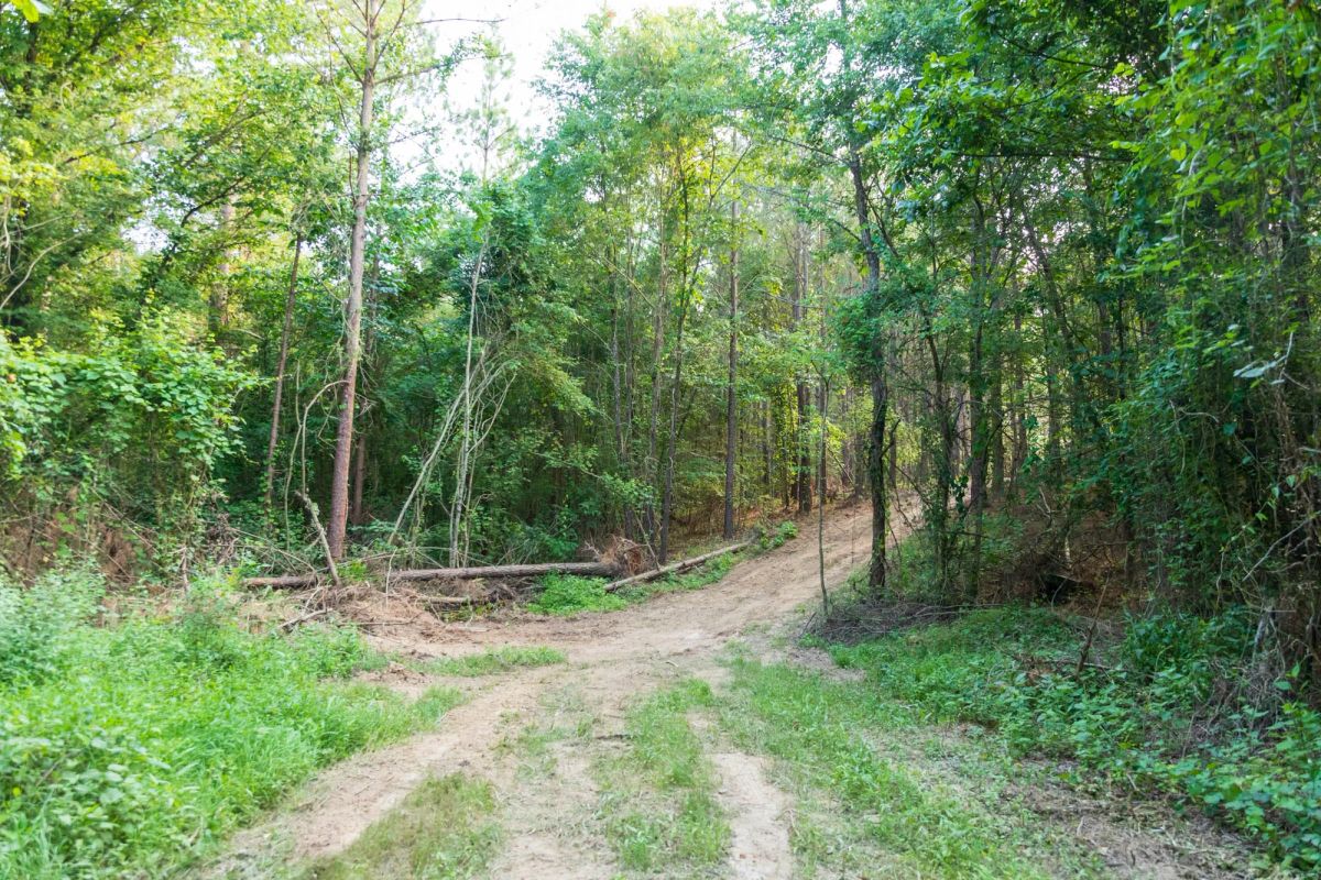 Decorative background for Whiskey Ridge Tract 63 image 6