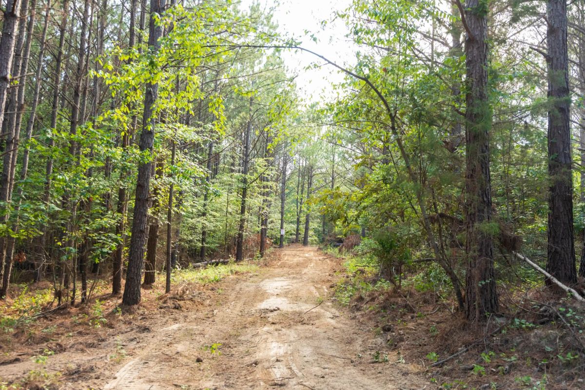 Decorative background for Whiskey Ridge Tract 63 image 8
