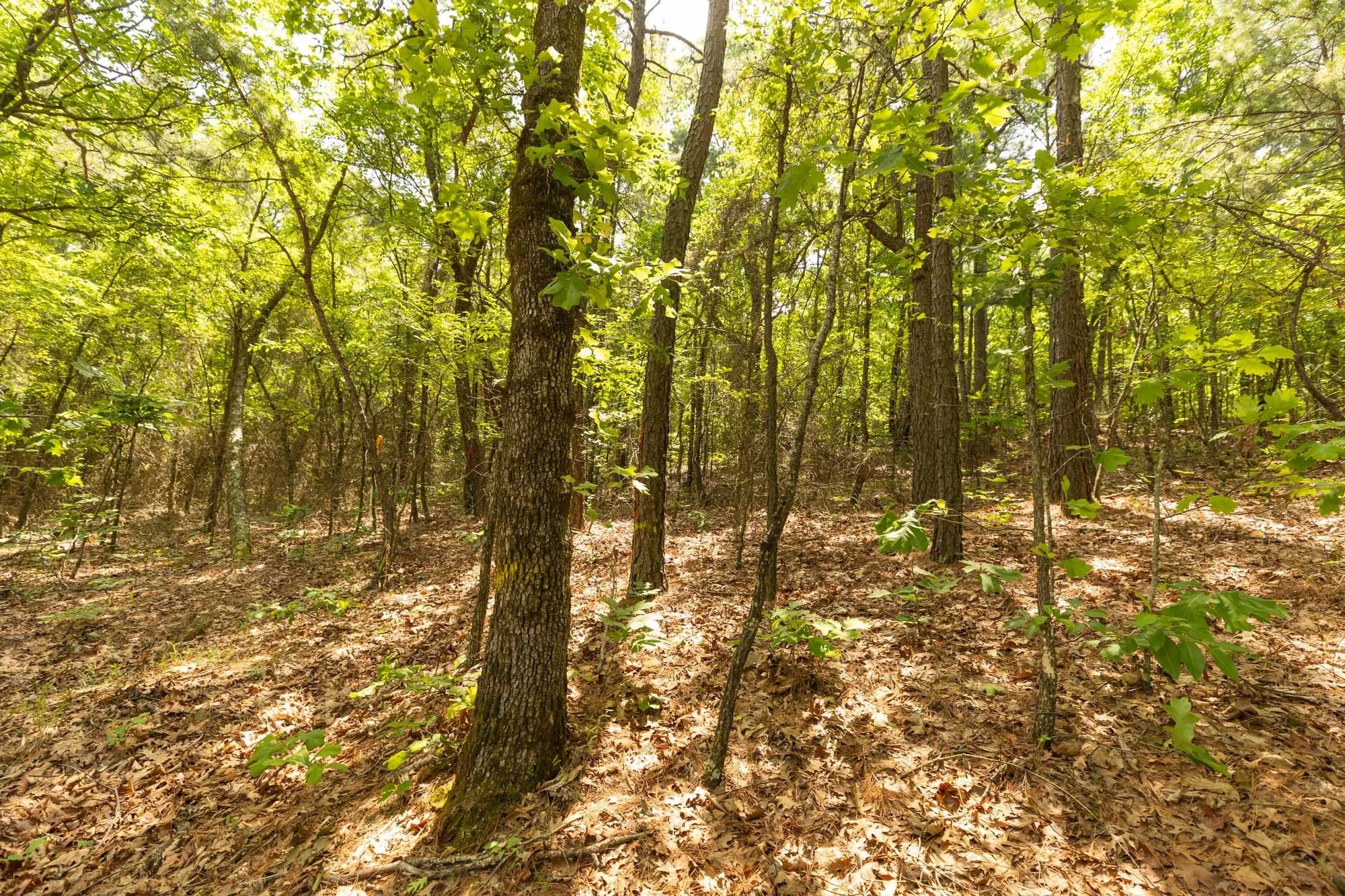Stone Bridge Reserve Tract 33 in Latimer County, OK