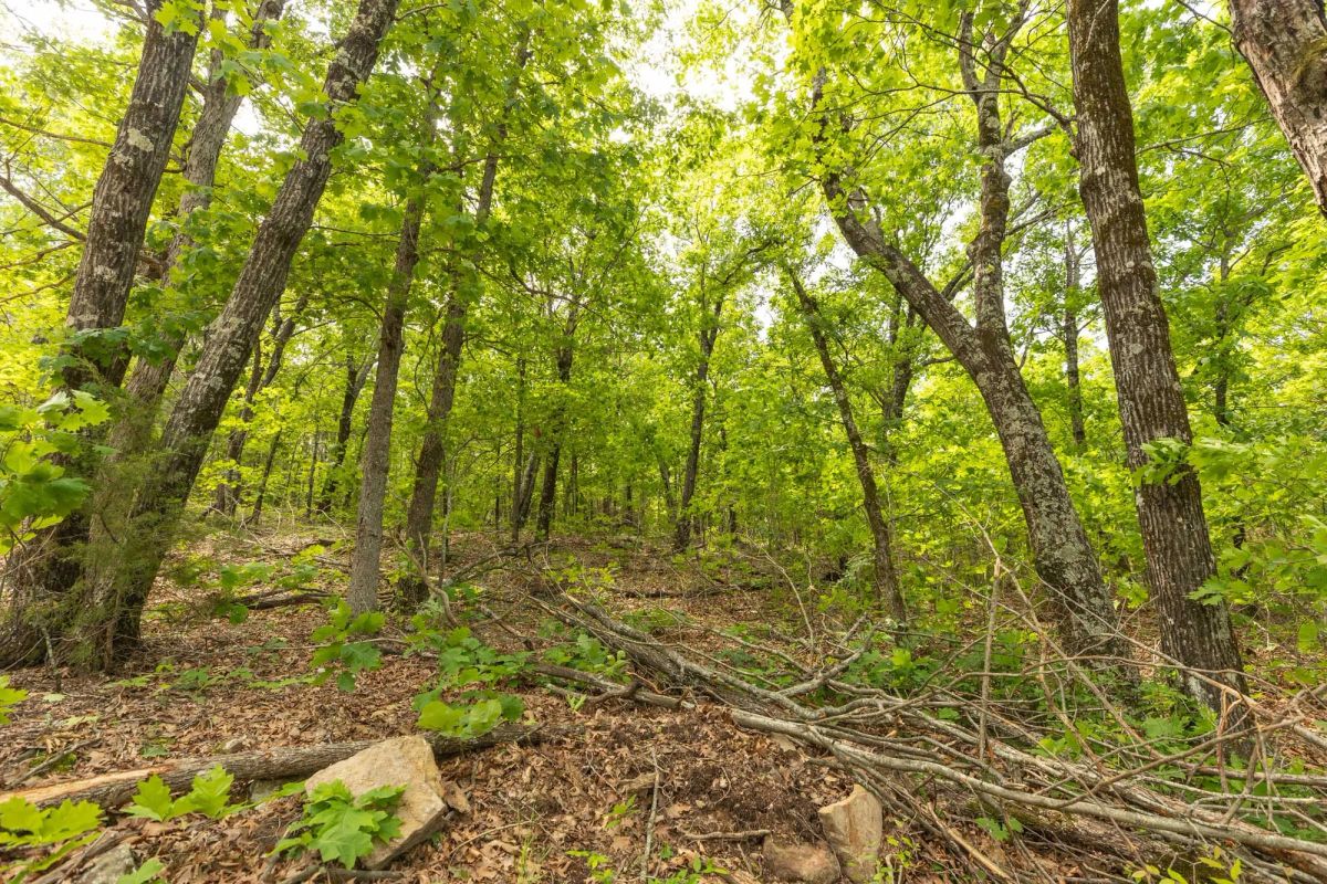 Decorative background for Stone Bridge Reserve Tract 33 image 5