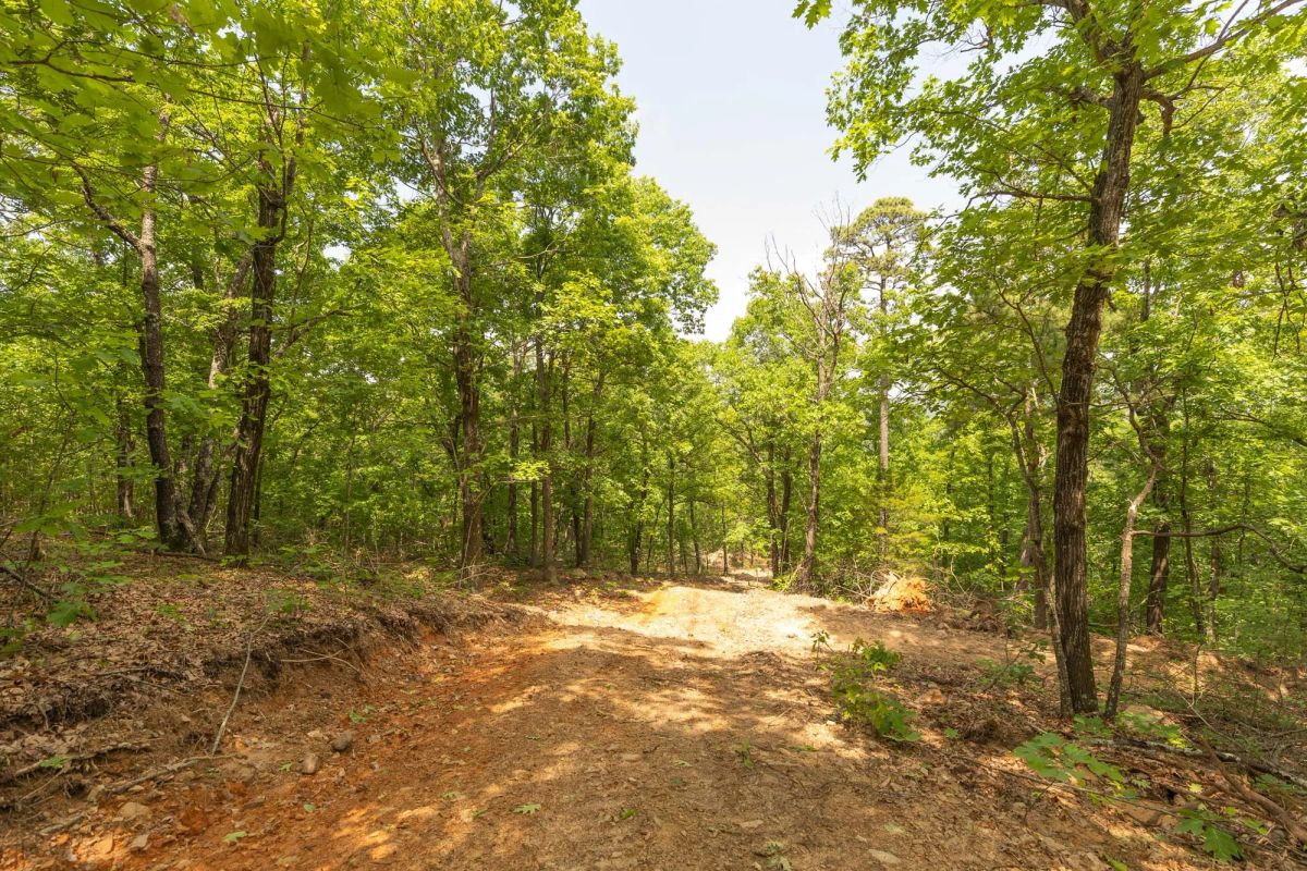 Decorative background for Stone Bridge Reserve Tract 33 image 9