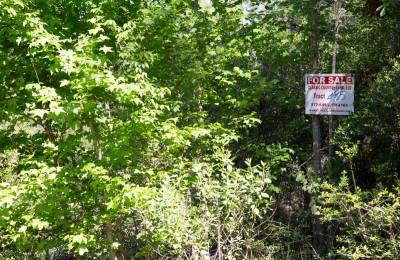Rayburn Country Tract 285