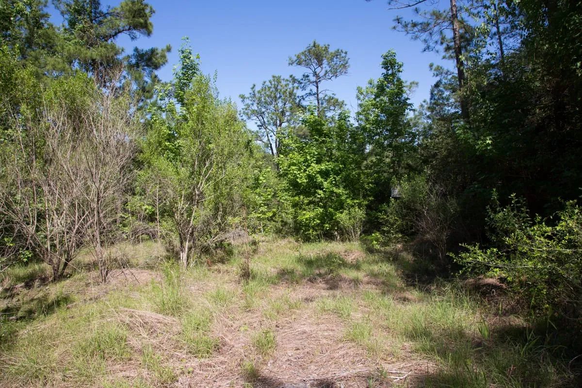 Rayburn Country Tract 285 - Image 2
