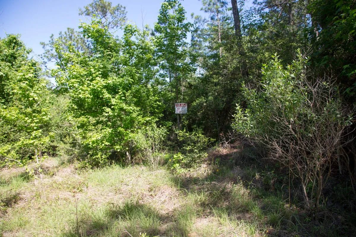 Rayburn Country Tract 285 - Image 3