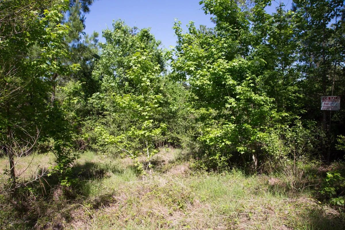 Decorative background for Rayburn Country Tract 285 image 7
