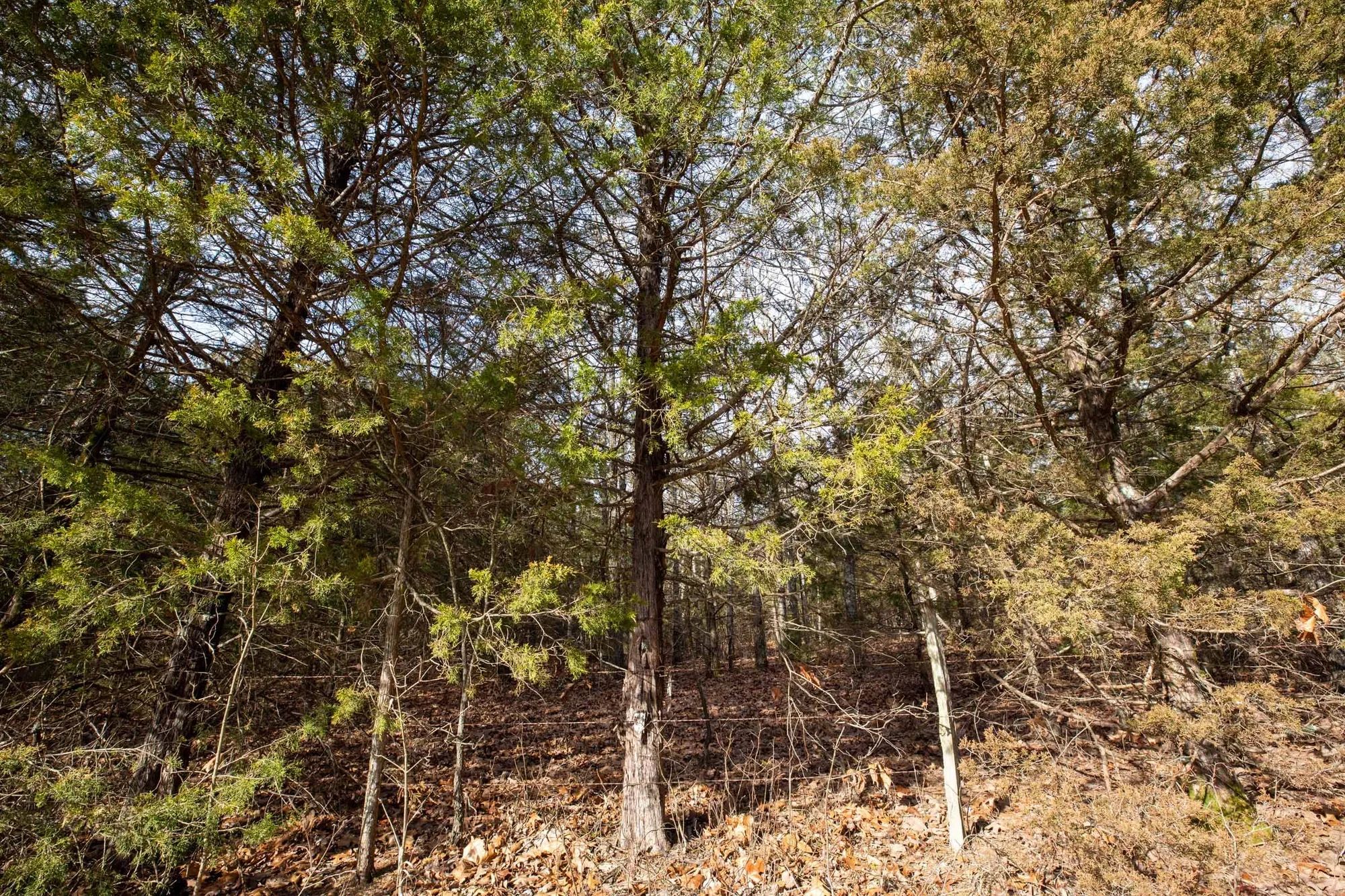 Forest Hill Tract 3 in Texas County, MO