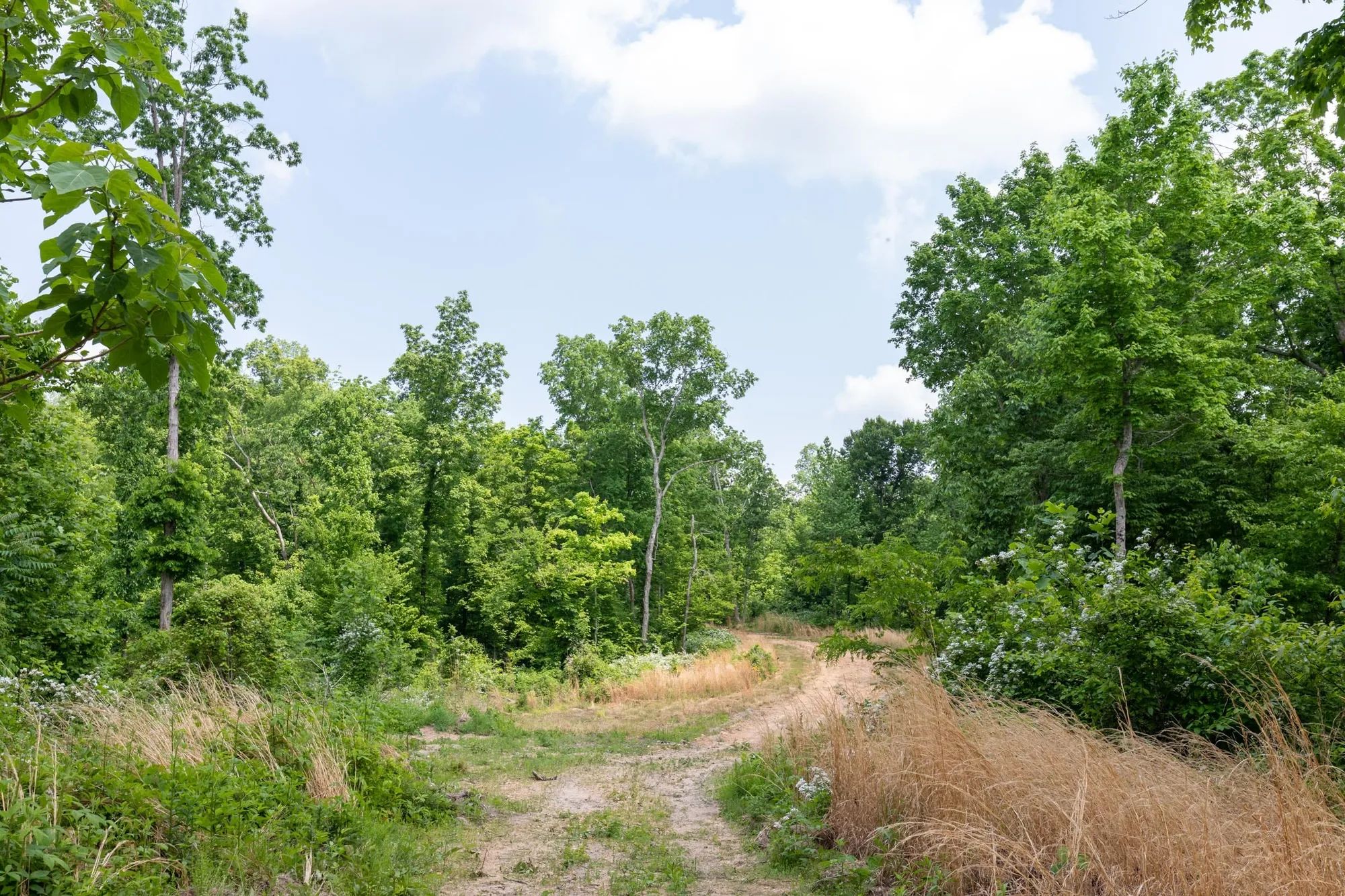 Cedar Creek Tract 40 in Perry County, TN
