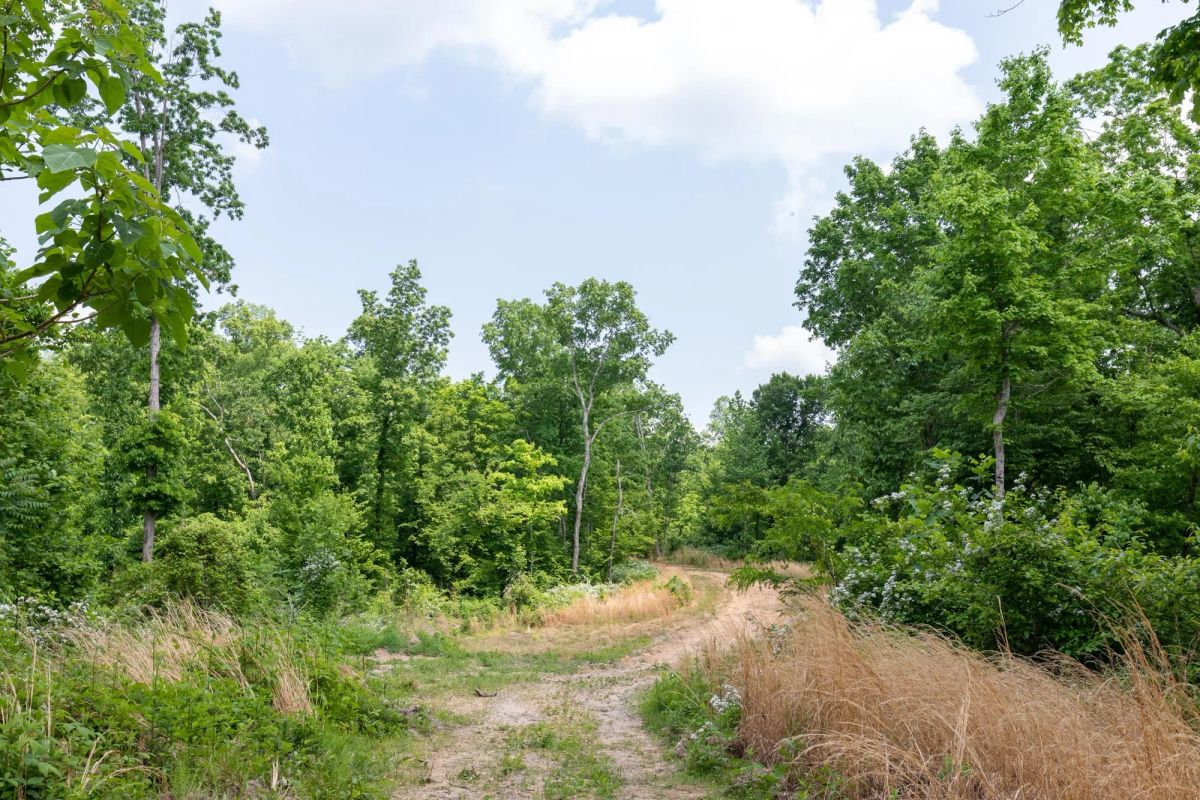 Cedar Creek Tract 40 - Main image