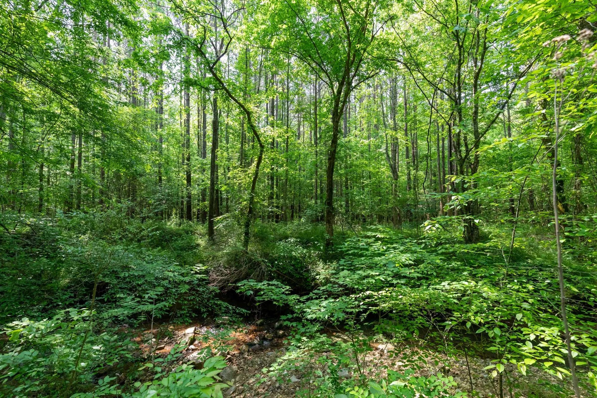 Cedar Creek Tract 40 in Perry County, TN