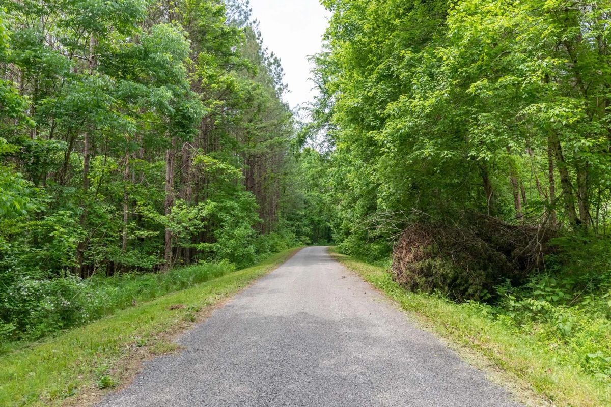 Decorative background for Cedar Creek Tract 40 image 5